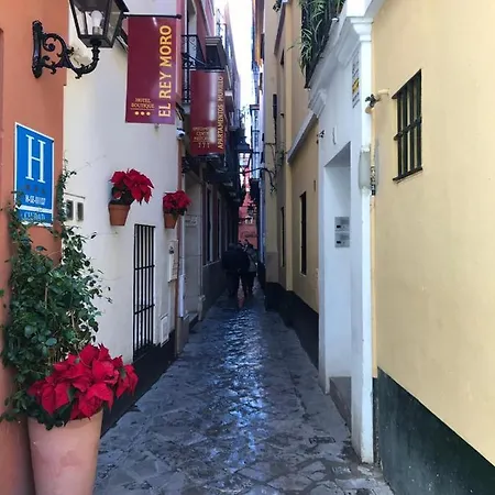 Alojamento de Acomodação e Pequeno-almoço Flamenco 3*