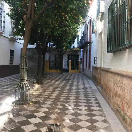 Flamenco * Sevilla