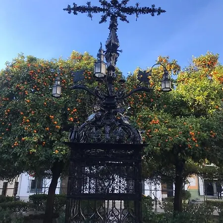 Flamenco Sevilha