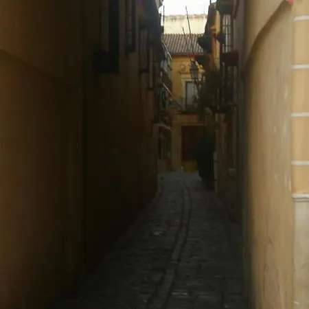 Bed and breakfast Flamenco