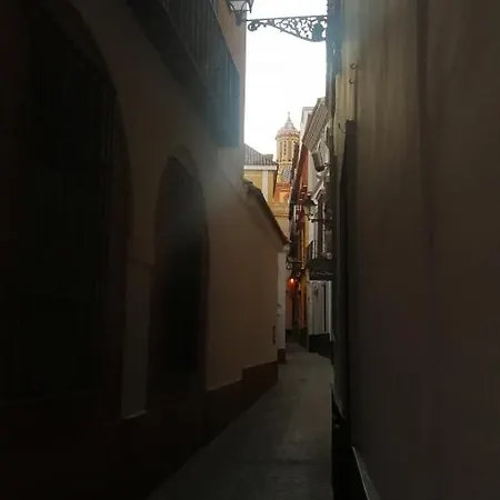 Flamenco Sevilha