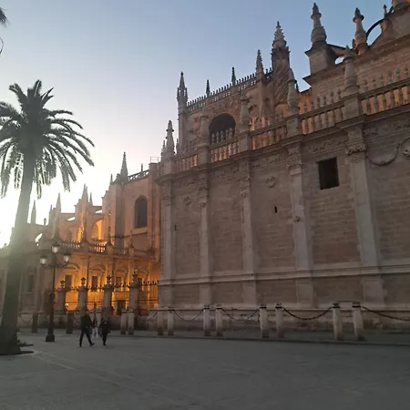 Flamenco Sevilha