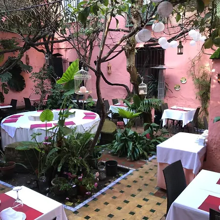 Flamenco Sevilha