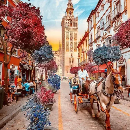 Flamenco Bed & Breakfast Sevilla