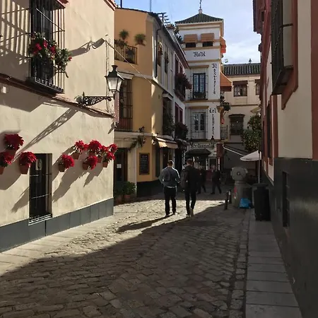 Flamenco