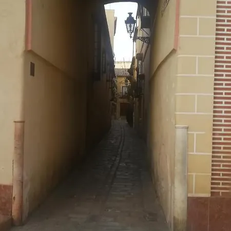 Flamenco
