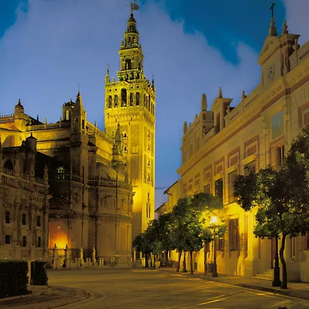 Flamenco Sevilla